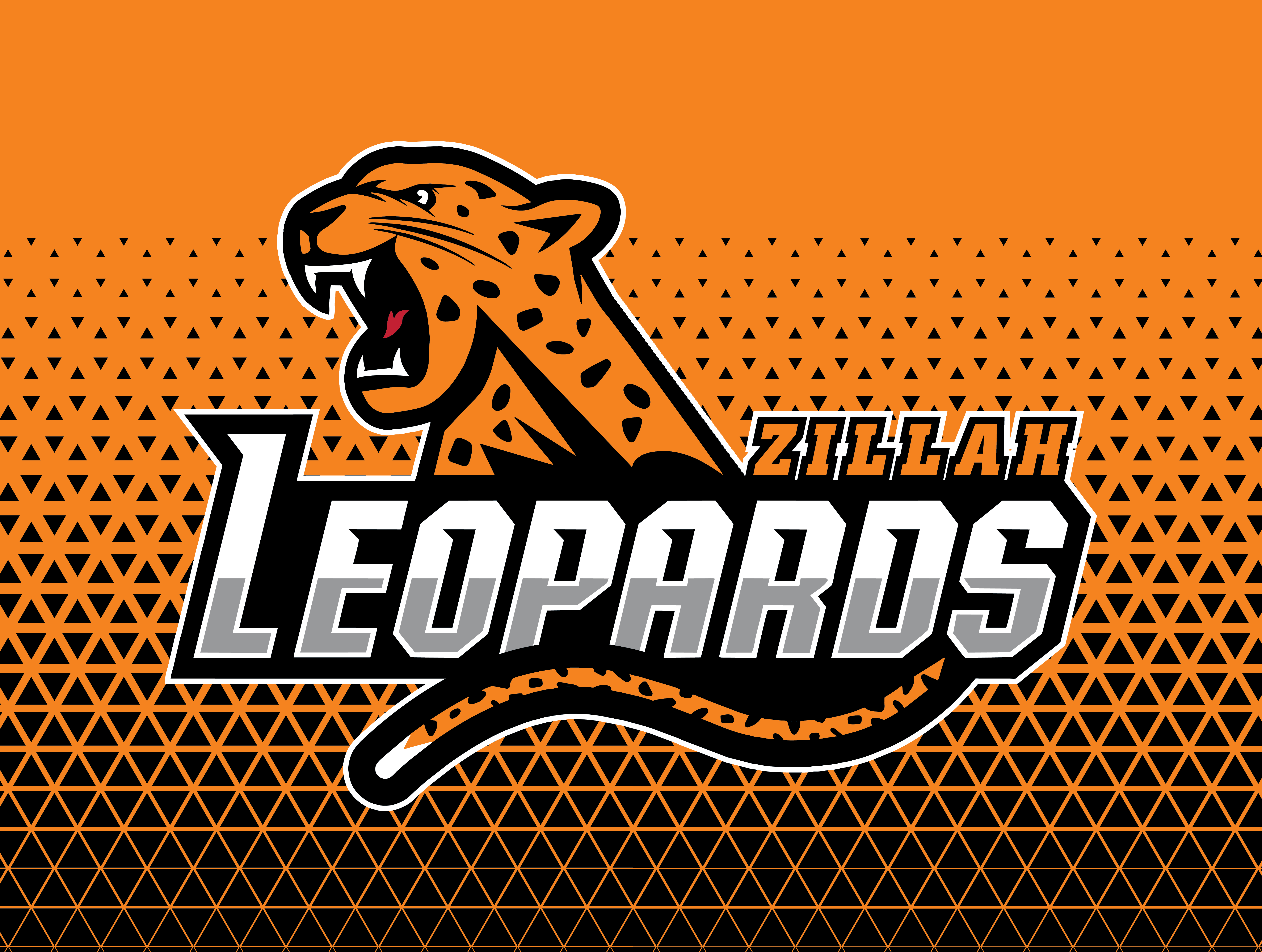 Zillah Leopards B